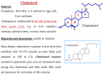 cholesterol and lipo..