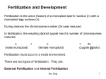 Fertilization & Development