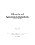 Silicon-based Quantum Computation