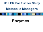 Metabolic Managers