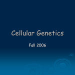 Cell and Genetics PowerPoint