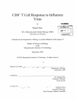 Virus CD8+ T  Cell  Response  to  Influenza SEP