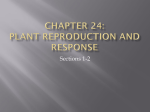 Chapter 24: Plant Reproduction and response