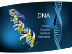 DNA History Function Structure