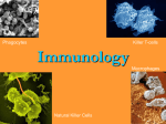 Immunology Phagocytes Killer T-cells Macrophages