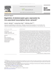 Hennig AK, Peng GH, Chen S. Regulation of photoreceptor gene