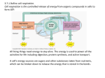 3.7:Cell Respiration Aerobic cell respiration: glucose