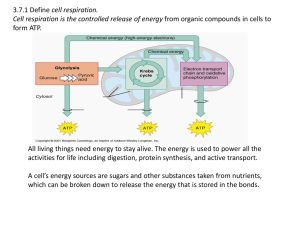 3.7:Cell Respiration Aerobic cell respiration: glucose