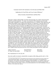 January 2007 Implications for Fiscal Policy and Cross-Country Differences