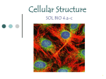 Cellular Structure SOL BIO 4.a-c 1