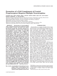 Formation of a full complement of cranial proprioceptors requires