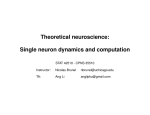 Theoretical neuroscience: Single neuron dynamics and computation