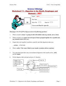 KEY 10 Science 9-Biology Worksheet 7-1—Digestion in the Mouth, Esophagus and