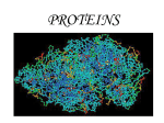 Determination of Proteins