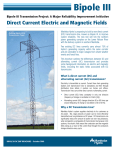 Direct Current Electric and Magnetic Fields