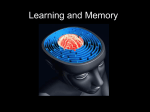 Learning & Memory