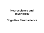 Cognitive neuroscience