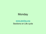 Monday www.jewfaq.org Sections on Life cycle