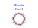 Genomics Chapter 18