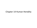 chapter_14_human_heredity