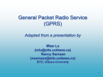 General Packet Radio Service (GPRS) Miao Lu (2705914