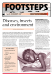 FOOTSTEPS Diseases, insects No.33  DECEMBER 1997 INSECT-BORNE DISEASES