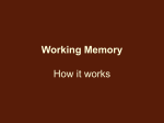 Working Memory How it works