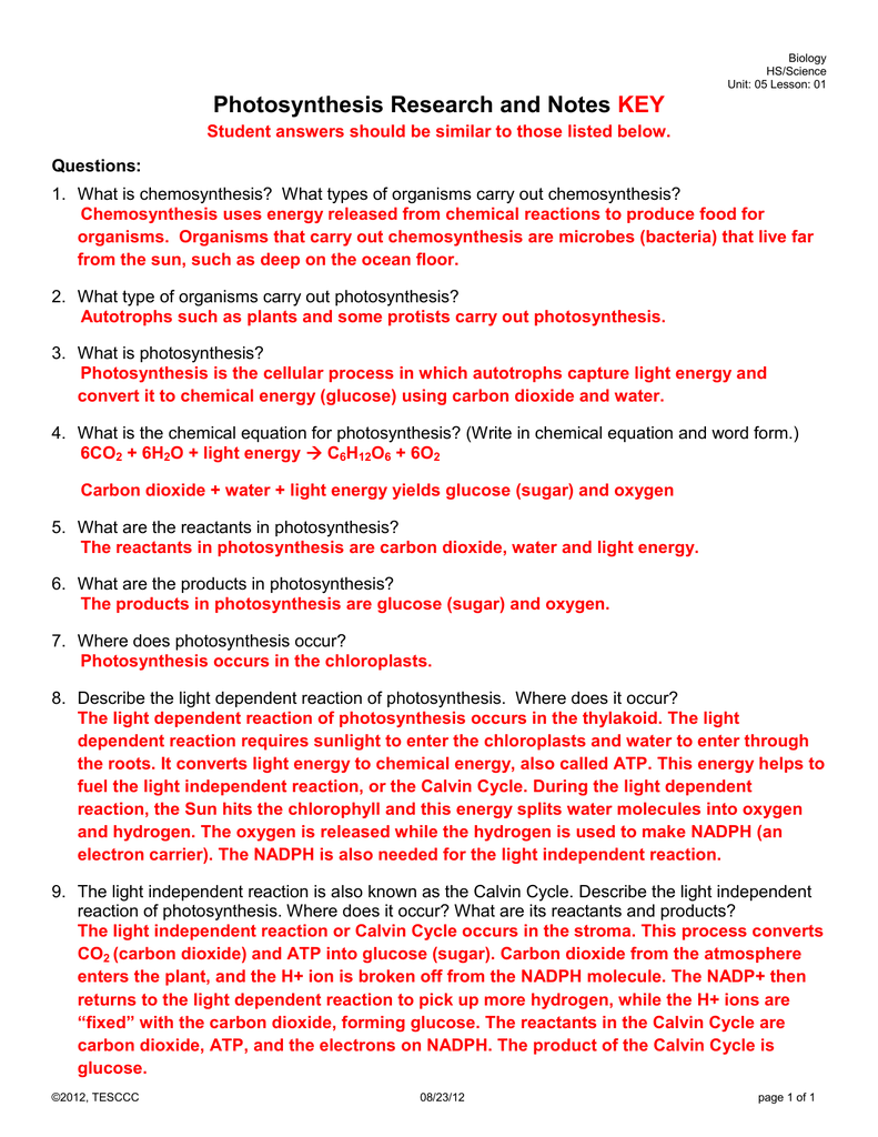 Photosynthesis Research and Notes KEY Inside Photosynthesis Worksheet Answer Key