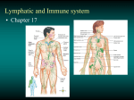 Lymphatic & Immune System - Sonoma Valley High School