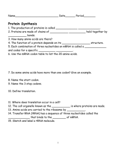 Protein Synthesis