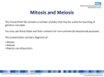 Mitosis and meiosis (explanation slides)