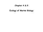 Chapter 4 &amp; 9 Ecology of Marine Biology