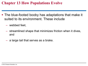 Chapter 13 How Populations Evolve  suited to its environment. These include