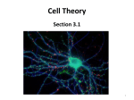 Notes Section 3.1: Cell Theory