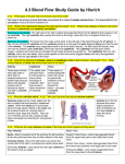 4.3 Blood Flow Study Guide by Hisrich
