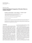 Canonical and singular propagation of ultrashort pulses in a