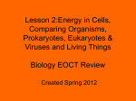 Lesson 2:Energy in Cells, Comparing Organisms, Prokaryotes