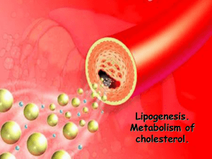 Lipogenesis. Metabolism of cholesterol