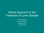 herbs-for-lyme1 - Valley Natural Health