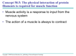 Concept 50.5: The physical interaction of protein •