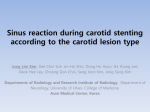 Sinus reaction during carotid stenting according to the carotid lesion