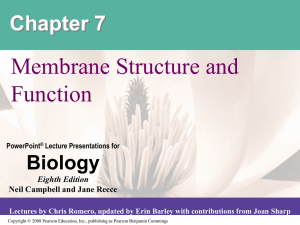 Membrane Structure and Function Chapter 7 Biology