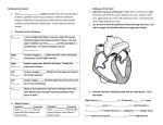 Cardiovascular System The c__________________ system