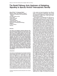 The Nodal Pathway Acts Upstream of Hedgehog