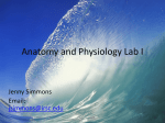 Histology - epithelial tissue - Mrs.Simmons Anatomy & Physiology I