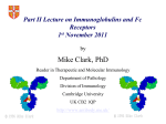 Characteristics of human IgG Fc Receptors