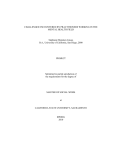 CHALLENGES ENCOUNTERED BY PRACTITIONERS WORKING IN THE MENTAL HEALTH FIELD