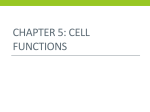 Cell Functions