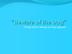 “Beware of the Dog”