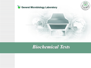 Starch Hydrolysis Test